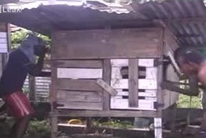 Народ забил питбуля насмерть за нападение на женщину