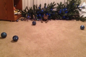  Помоги мне, человек!