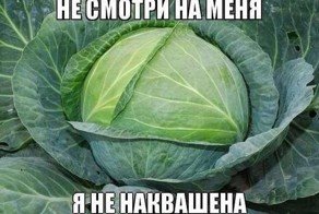 Типичная капуста