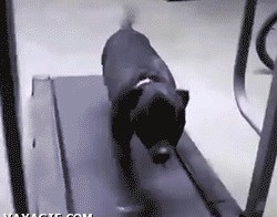 Главное - не сдаваться!