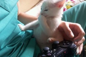 Фото прикол