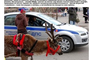 5 креативных способов не платить штрафы (5 фото + текст)