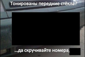 Тонировка и снятие номеров (1 фото)