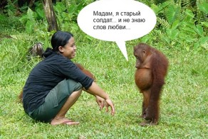 Свежий фотоприкол