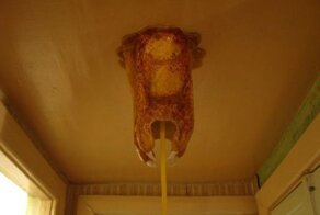 Half-Life 2: Выращиваем барнакла в домашних условиях! (36 фото)