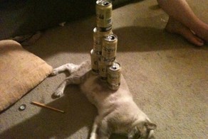 Зачетное фото