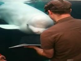 Подборка роликов от 07.09.2012