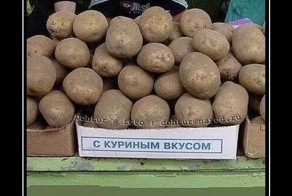 Смешной демотиватор от zubrilov за 30.07.2012 №122493