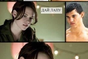 Прикольные фото и картинки от zubrilov за 31.07.2012 №122551