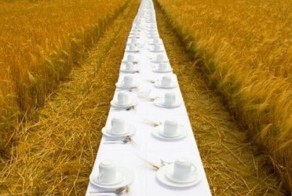 Фотоподборка