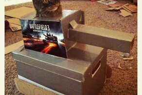 Прикол
