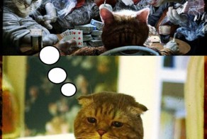 Новый фотоприкол