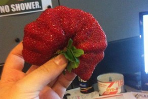 Шикарное фото