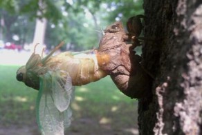 Красивые фото