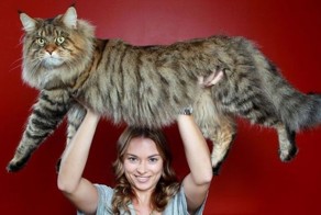 Отпадные фотки