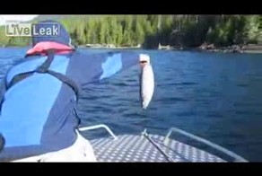 Подборка роликов от 01.07.2013