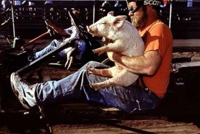 Фотоприкол