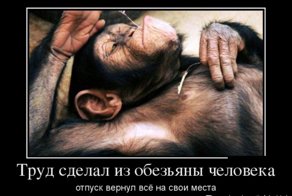 Смешной демотиватор от zubrilov за 01.08.2012 №122762