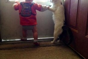 Бесплатно фото