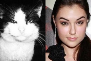 Забавные сходства людей с животными