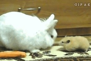 Быстрый ,дерзкий как пуля резкий!