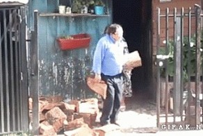 Косточку зарабатывает =)