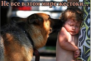 Фото прикол