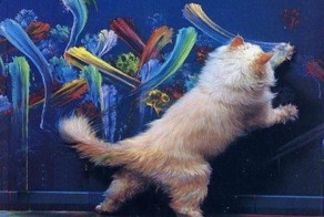 Фото прикол