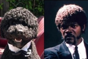 Забавные сходства людей с животными. Часть 2.