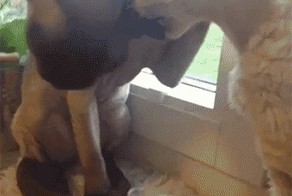Успокойся! Я говорю, успокойся!