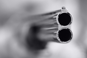 Отец ранил двух насильников своей дочери