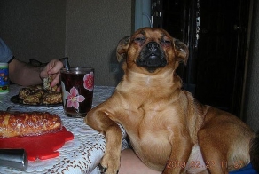 Сфоткай, типа я тут хозяин