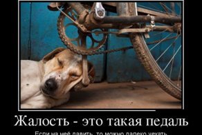 Смешной демотиватор от zubrilov за 03.08.2012 №123136