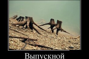 Смешной демотиватор от zubrilov за 03.08.2012 №123141