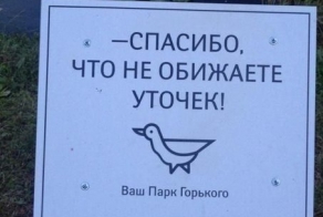 Минуты добра  на Fishki.net