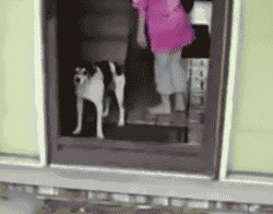 Разрушила сознание