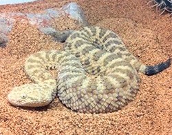 Погружение в песок