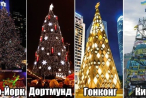 Йолка-2014
