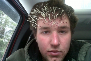 Встретился с дикобразом