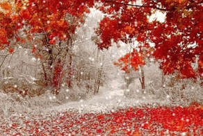 Зимушка-зима