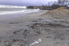 Ксавьер. Балтийская коса. Часть 2