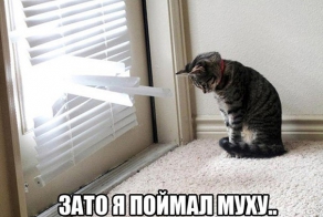 Зато я поймал муху