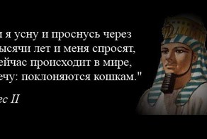 Фотоприкол онлайн бесплатно