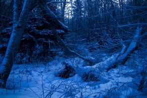 Ответ на историю в метро