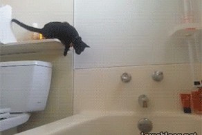 Боязнь воды  