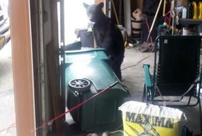 Фотоприкол бесплатно