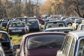 500 спрятанных автомобилей в лесу
