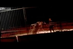 Нападение тигра на дрессировщицу