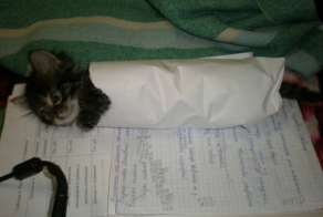 Он просто мешал