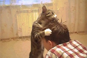 Ты чё такой лохматый?